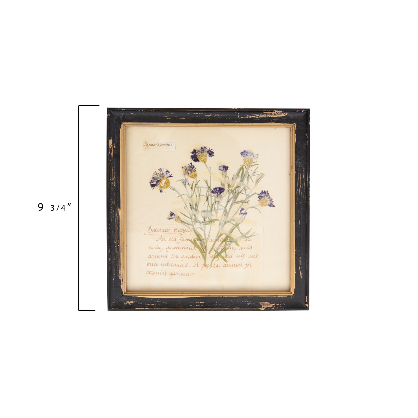 Framed Wall Decor with Floral Image, 6 Styles
