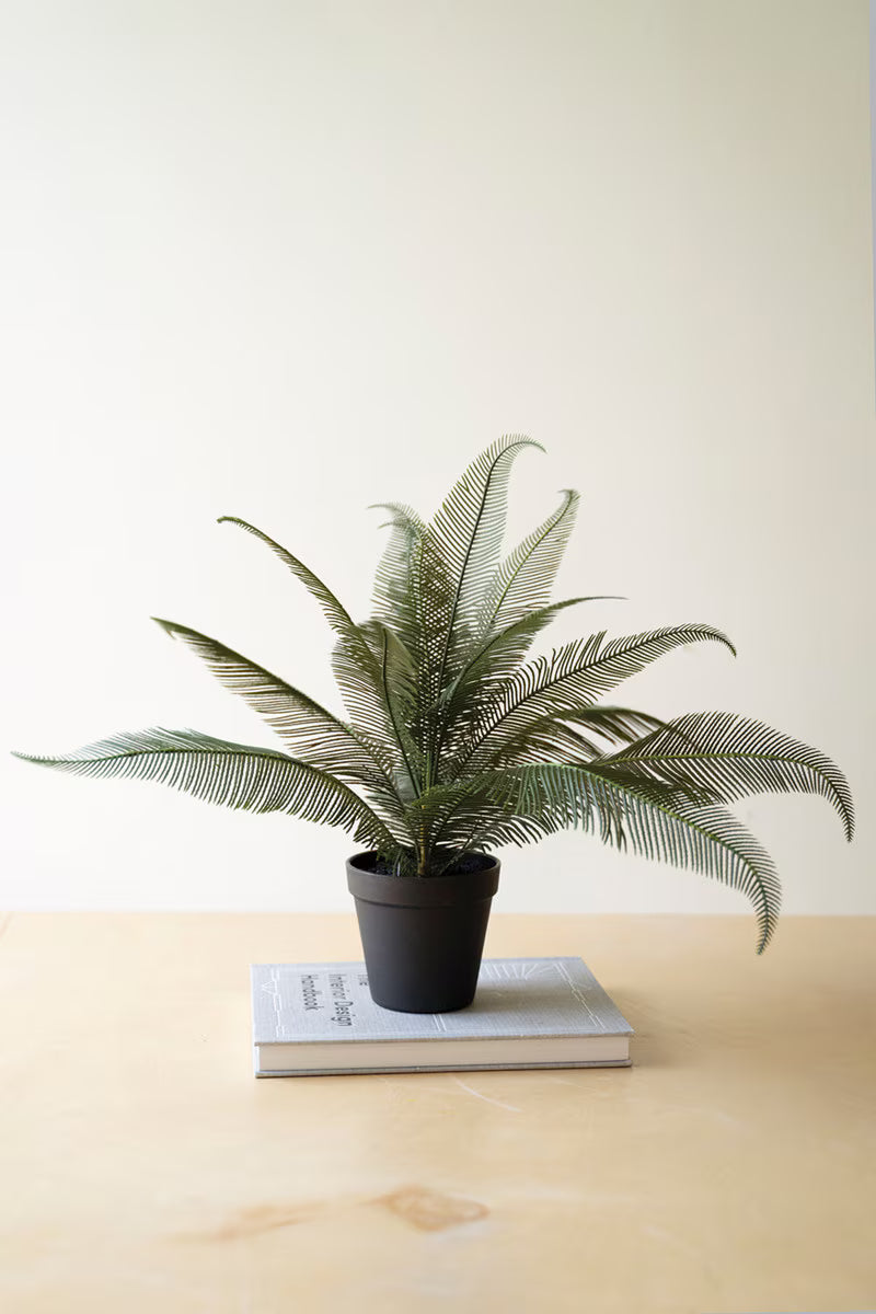 Artificial Phoenix Plant in a Black Plastic Pot