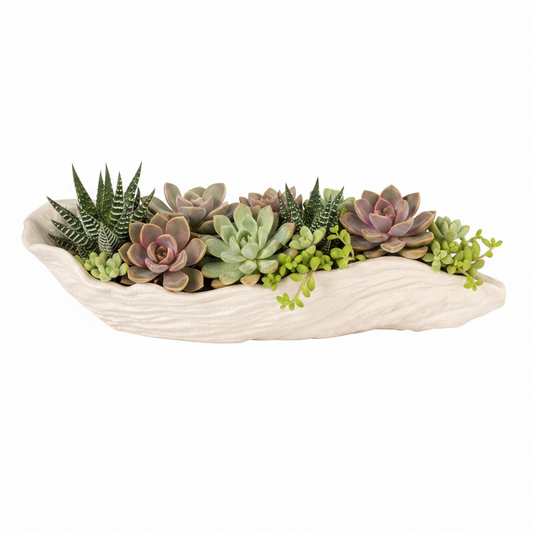 Stoneware Oyster Shell Shaped Bowl & Unglazed (Each Will Vary)