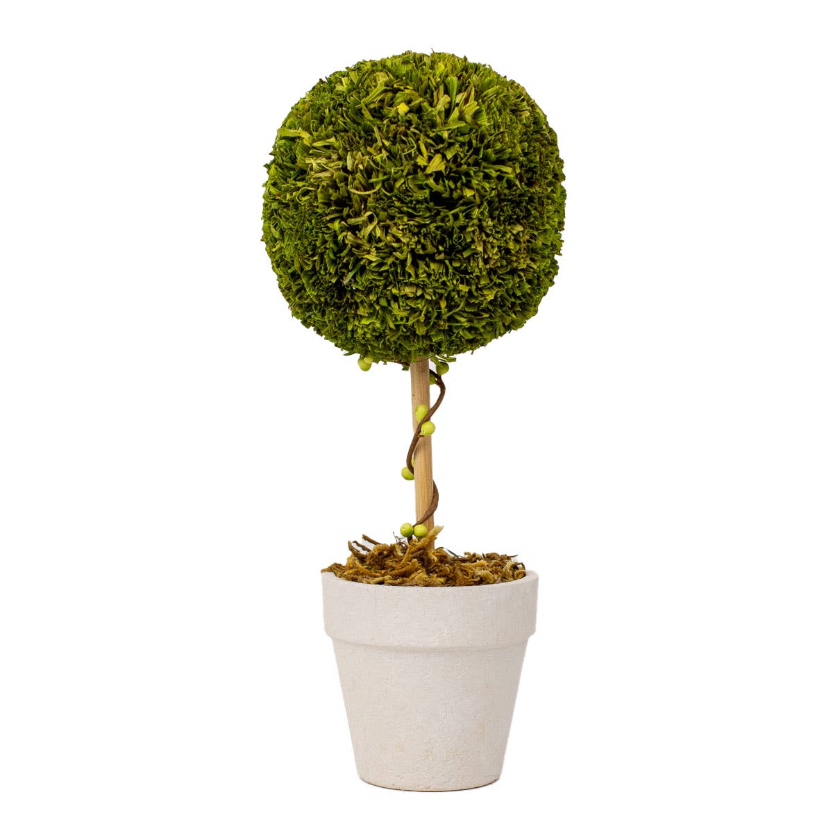 Boxwood Topiary   Green   4x10.25x4
