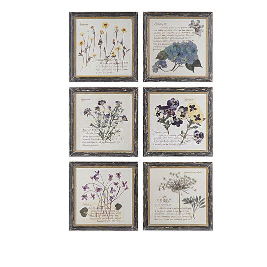 Framed Wall Decor with Floral Image, 6 Styles