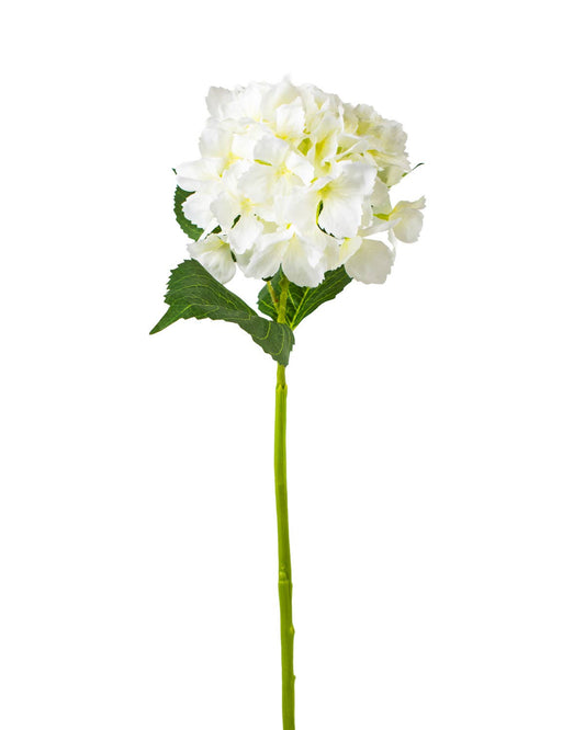 Hydrangea Stem   Cream   27.5"