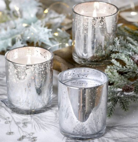 Park Hill Silver Birch Candle