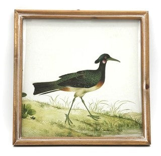 Square Wood Framed Bird Image