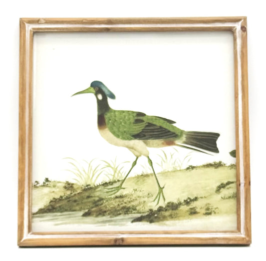 Square Wood Framed Bird Image